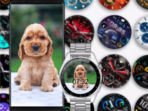 c0e880b0274a143e2787a15c09fb8f5f