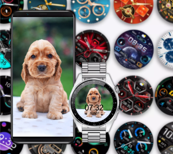 c0e880b0274a143e2787a15c09fb8f5f