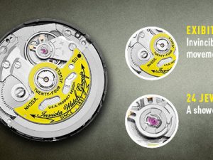 d9bc8f74950d517c0fdb9df1f92cb115